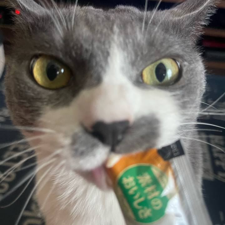 Fed95c73 7477 4bef bd69 37b0de93129c 1718176350161