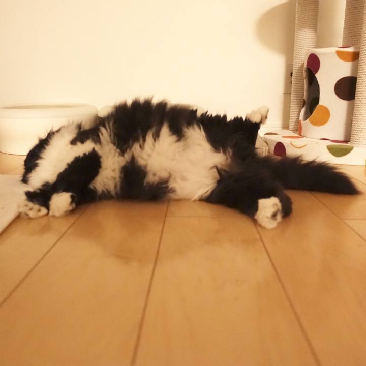 Fed992a5 632c 4448 b397 6834dd32cd23 1512229727573