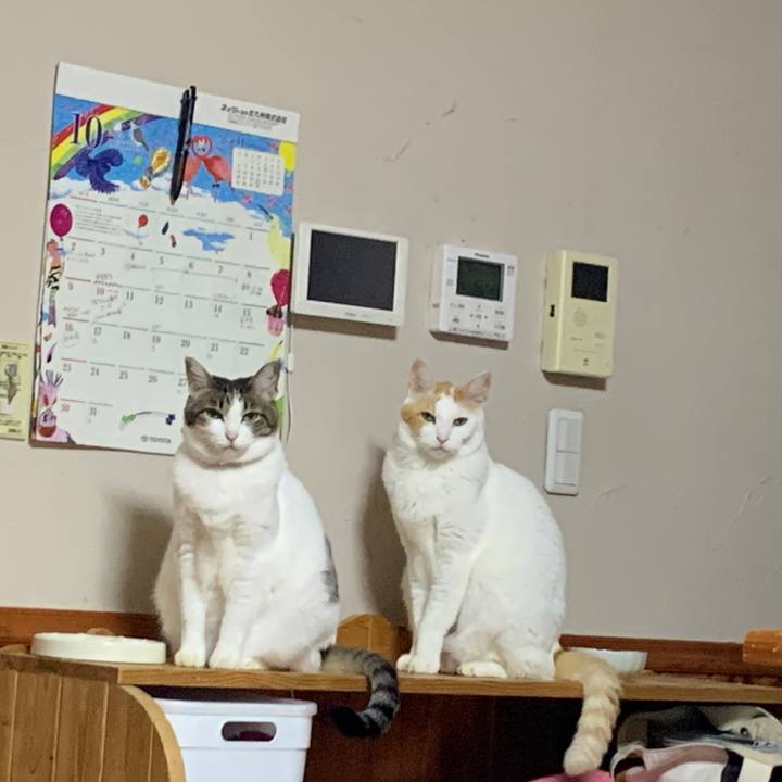 Fed9b5ed 48f8 4c01 9281 f1895175c4db 1665235478580