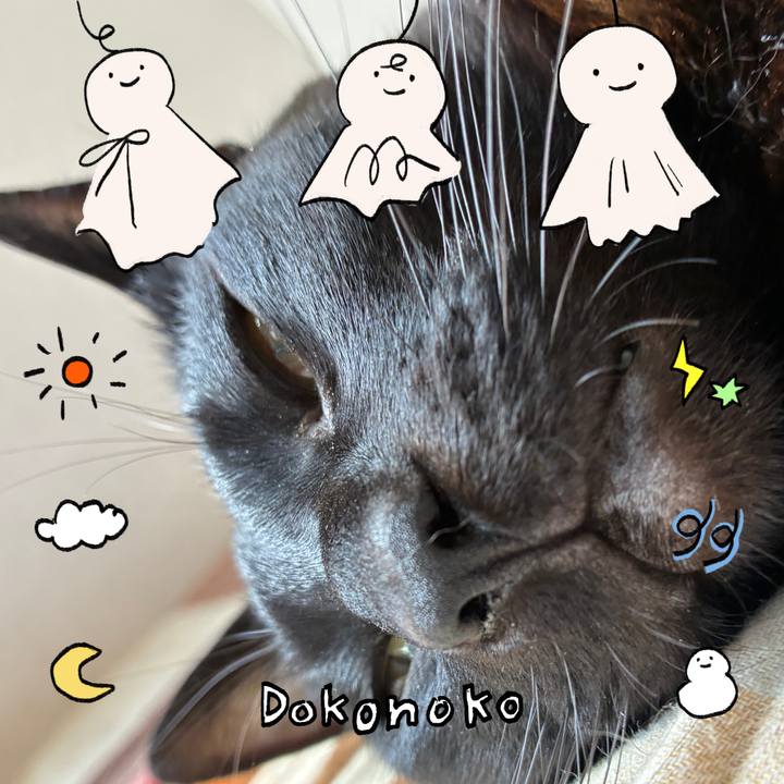 Fed9fa06 d2b8 46cf 80d1 44389528d31b 1749264390442