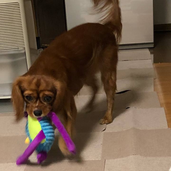 Feda0cd6 fbf7 4f0b a33b 1fc885858754 1541024685203