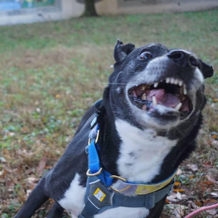 Feda0d82 67fe 4757 b914 001d32566848 1762489299102