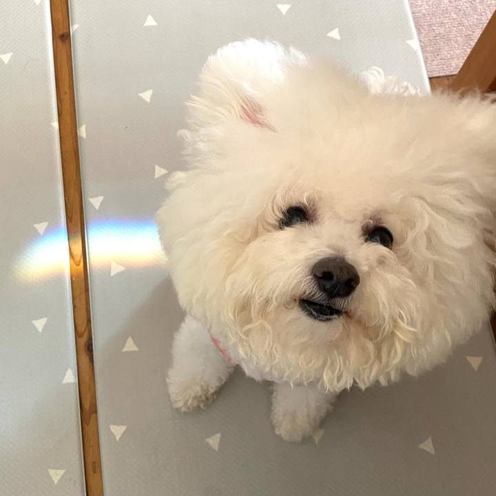 Feda48d2 6821 458c 8c9d 0ba6349a87f9 1732785284856