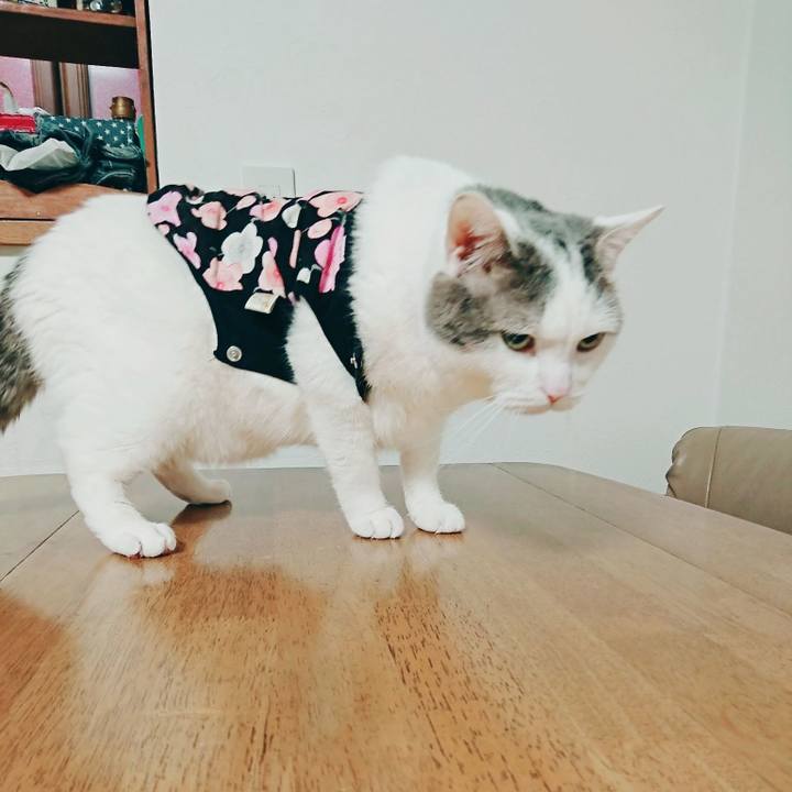 Feda49ea d923 4522 b2ad bf487e0ecbf7 1520904479784