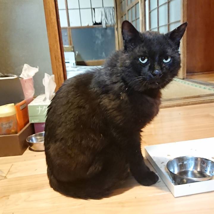 Feda99f9 1b02 475f a65f dde6b71df2e8 1622462106437