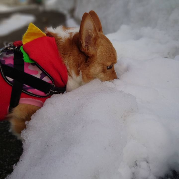 Feda9ffe 2304 4390 b84c d19ee3fdab34 1773271398341