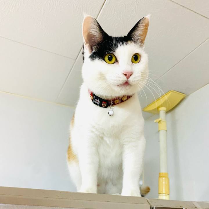 Fedaa5fa ebd6 4df5 84b5 c9d68faa9f52 1671487749259