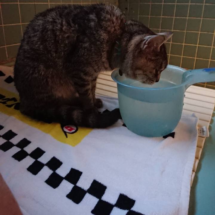 Fedb2610 8d42 4438 b70b 34daf8f055cf 1577863952858