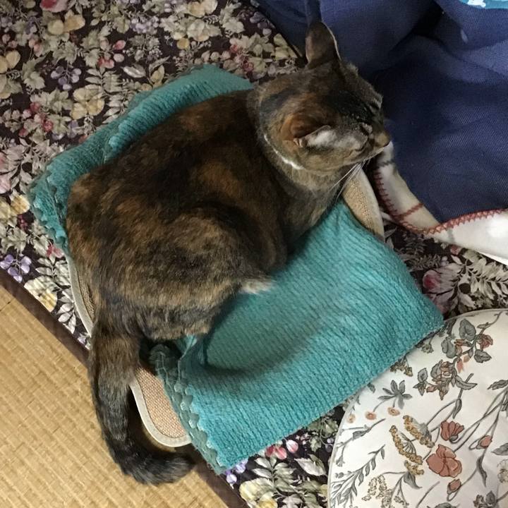 Fedb3480 a158 441d a9c4 386d6f30ab2f 1747818716267