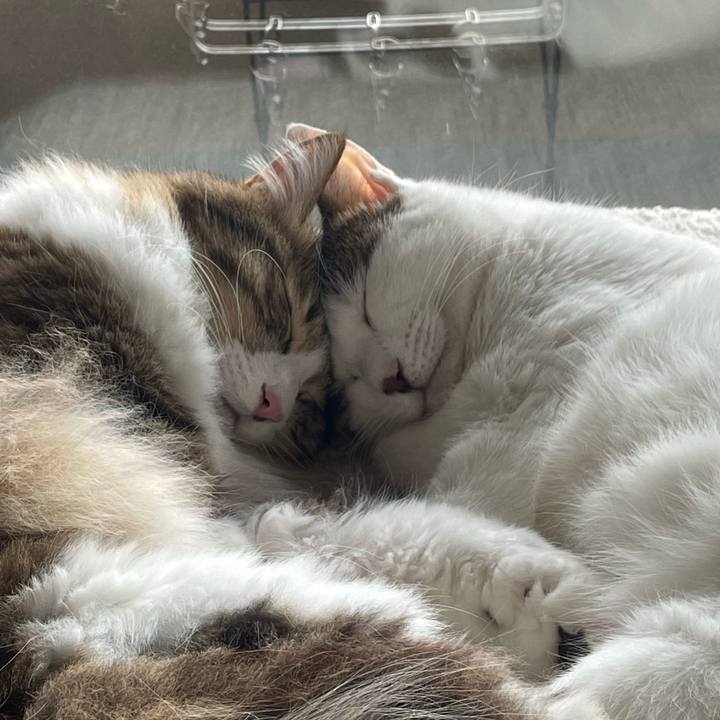 Fedb4144 e057 427e 899e 7853418e3346 1763005624745