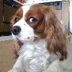 Fedb7aa5 84a1 441f aec4 09ba4a5b0513 1513416733563