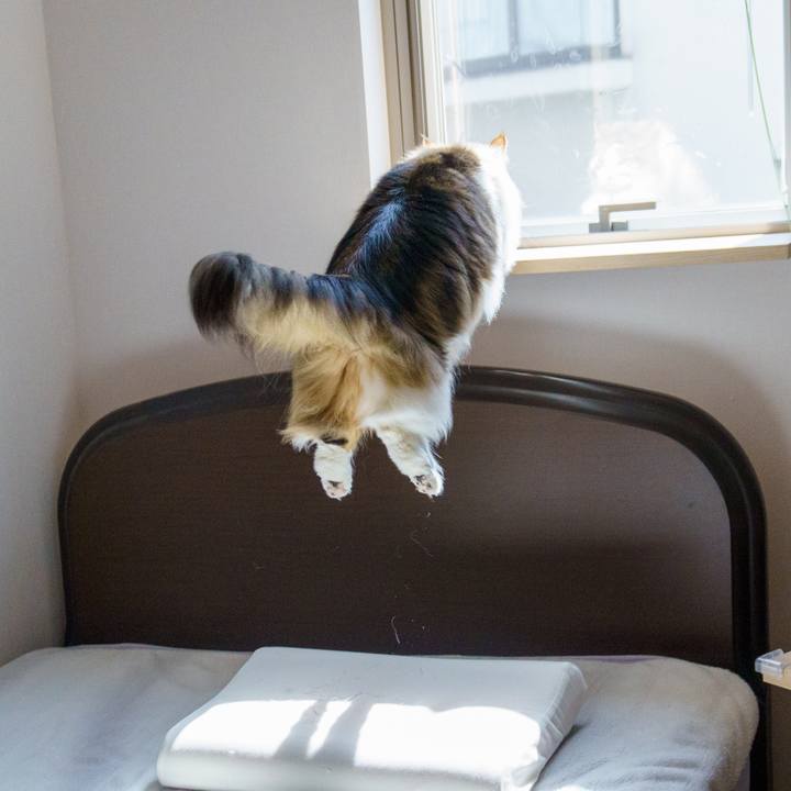 Fedb7cfa c64c 4be2 84a1 d2d9649b4b03 1646455869618