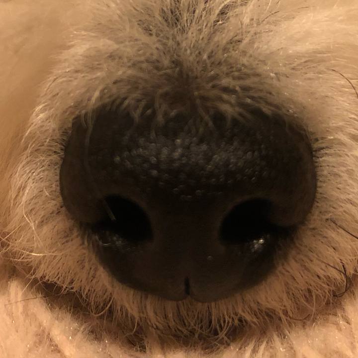 Fedb90bf 6fcb 4273 b300 0fa514464cb3 1573813570605