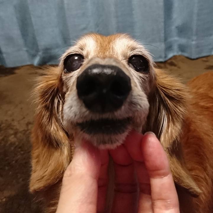 Fedb96e5 e3b8 4777 a19d 26aa7ec0fcba 1590949167874