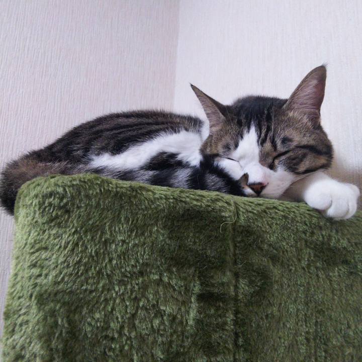 Fedbf842 4c64 4cb1 87a8 2f28ec0f5058 1638361120225