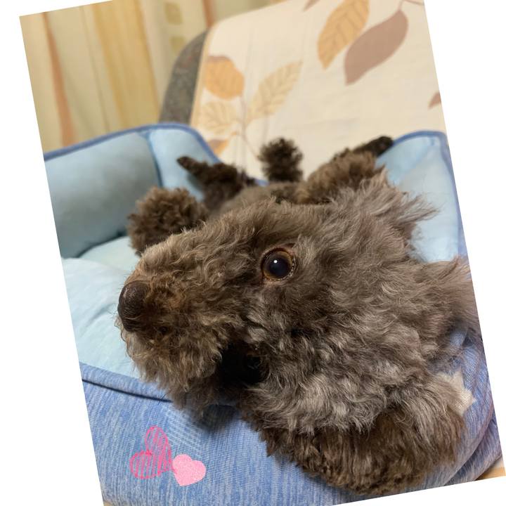 Fedc0110 67b5 4062 8e5e 60c59720e9b0 1592086628512