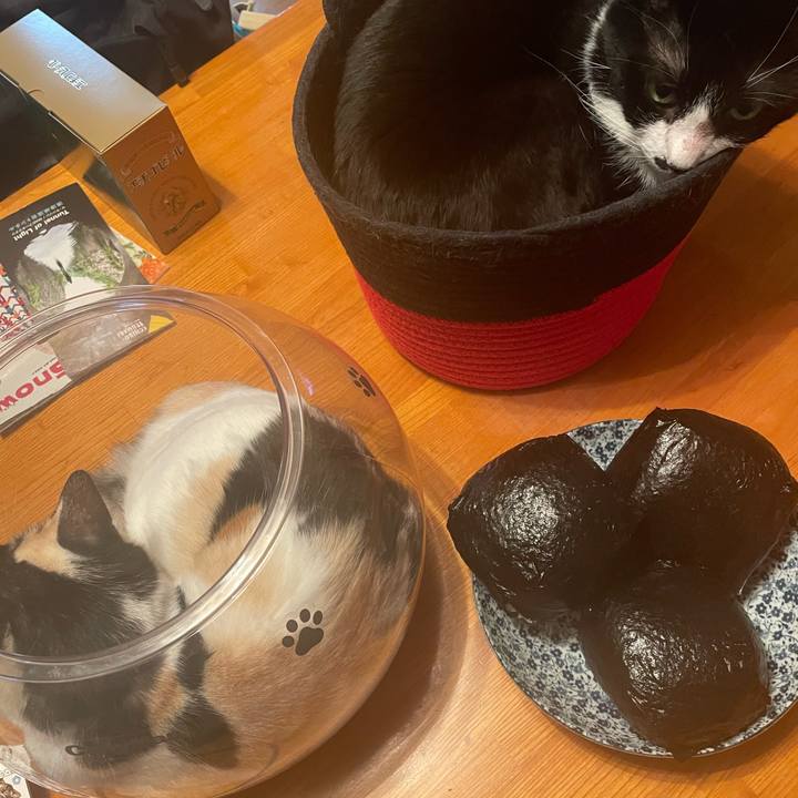 Fedc2709 67b0 4674 a643 af9f79bd26aa 1744554685732