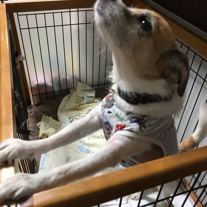 Fedc2dd5 c865 4db9 af71 a9f23bb1bf00 1570485697187