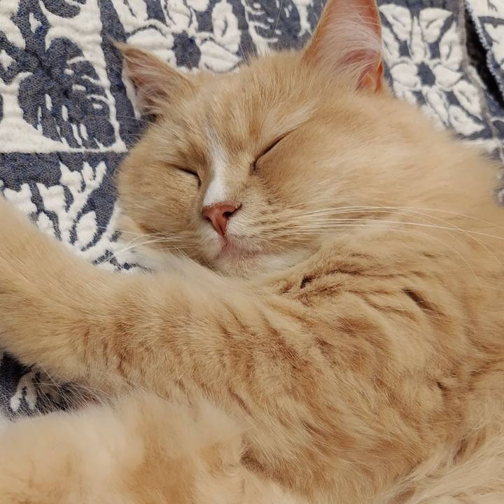 Fedc3c5e 157c 491c 8a2d 7262c8348521 1716015490441