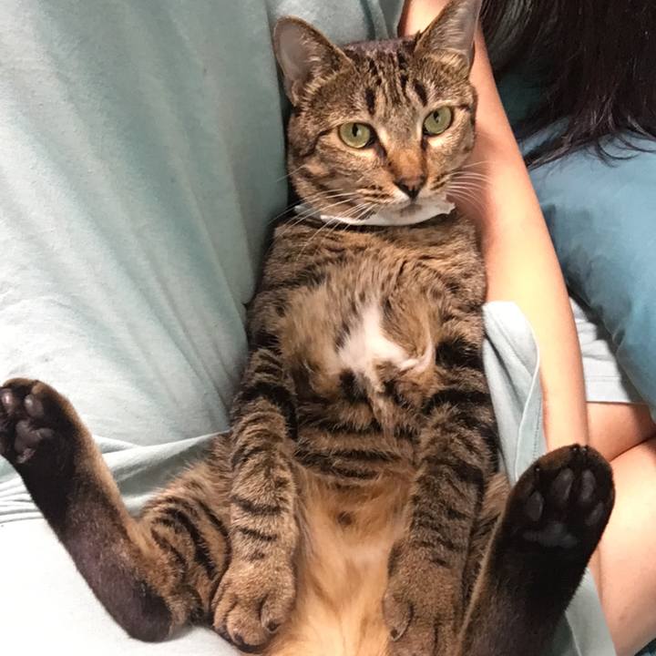 Fedc3f54 5ba6 42f6 b7b4 c3d99169dee4 1533381605685