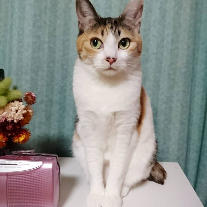 Fedc7dee 6ed7 4f3d 81c5 56ed527597d3 1514638128695