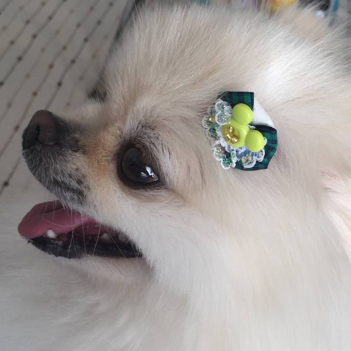 Fedca091 26dc 4f26 a2cd 6452779fc688 1606099809591