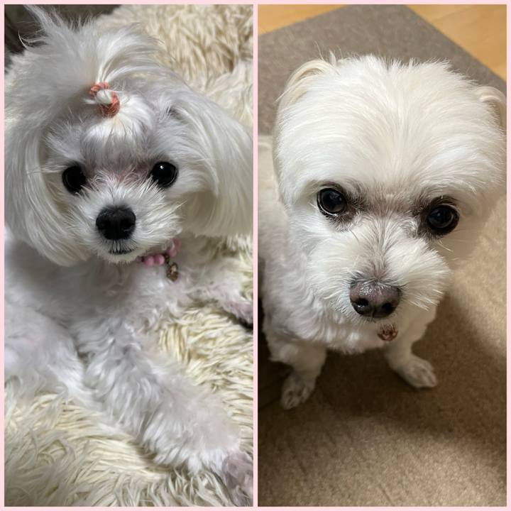 Fedcd1f8 1967 4d5f afd3 4e1918c9f2e3 1731317253172