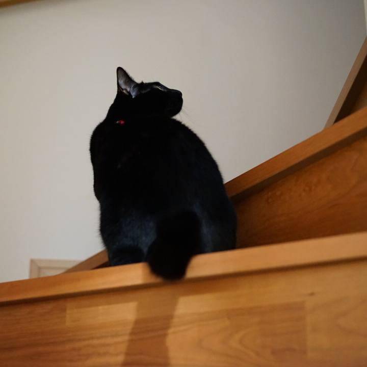 Fedcf663 9f81 4dd1 b884 30f97dd2ba68 1548906969010