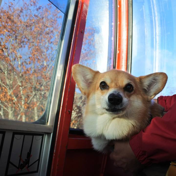 Fedcfc88 20a6 4805 ac0f e3133efe3eae 1667474747525