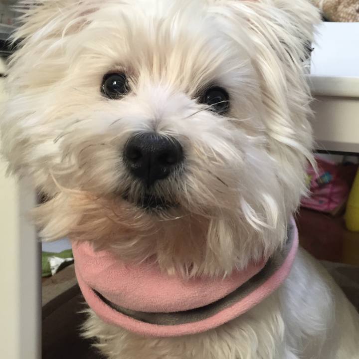 Fedd0802 c65f 455f a8ff 0b85106dbb2b 1509600141851