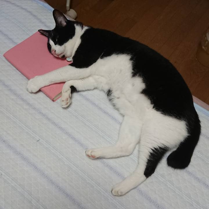 Fedd76cd 0811 4a13 aec1 fff6e5b88526 1659148186081