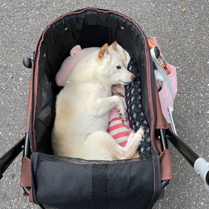 Fedd7d6a c690 4bca 92b5 43749e6440b5 1654688336870