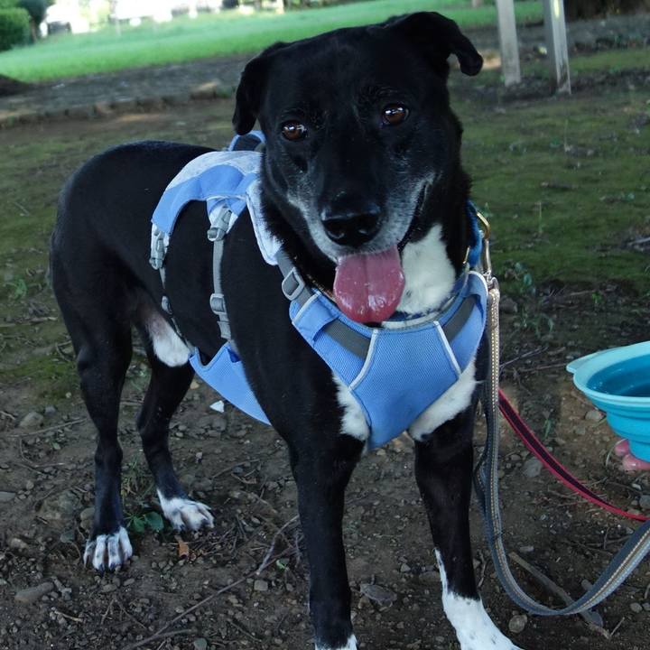 Fedd8a46 6b9d 4730 84f7 200aa6e3fb3e 1722297896061