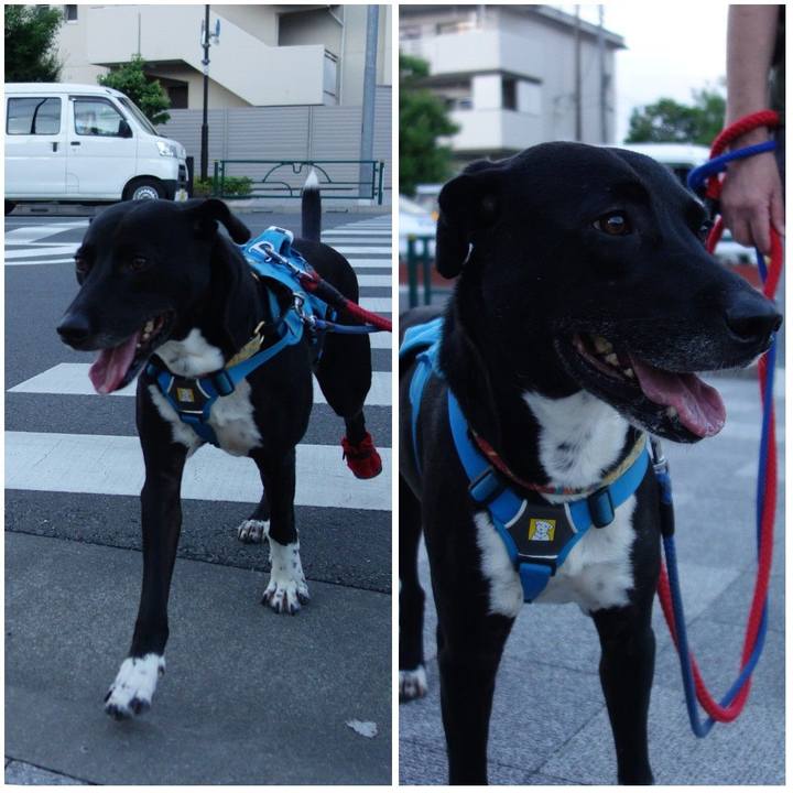 Feddccfa 4306 494f 8084 ae49c44856d5 1623936158043