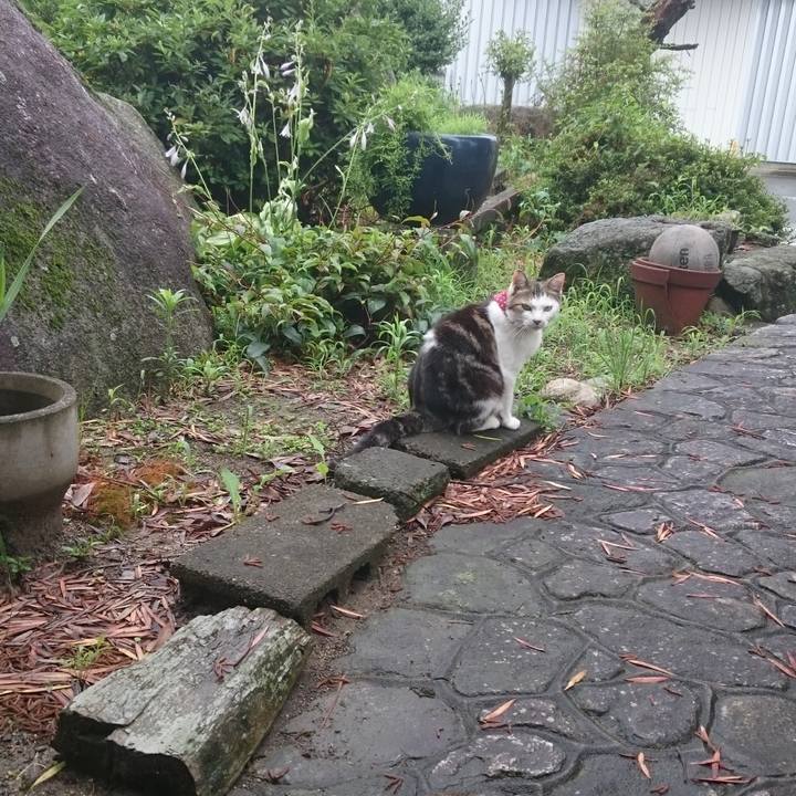 Feddf05a dad4 4147 a12c 3eb19357ddda 1572148062690