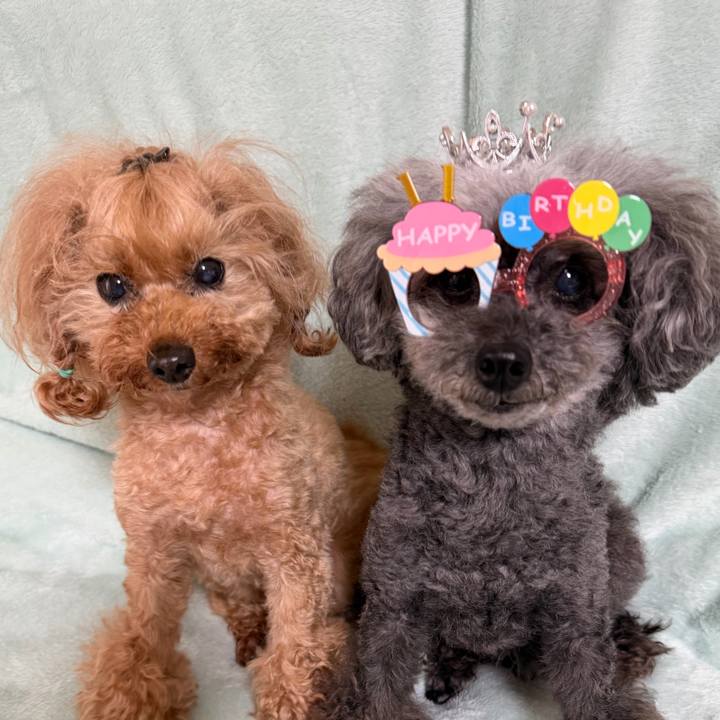 Fede3549 823a 4382 9a3b 1d10296ef3a6 1771978083437