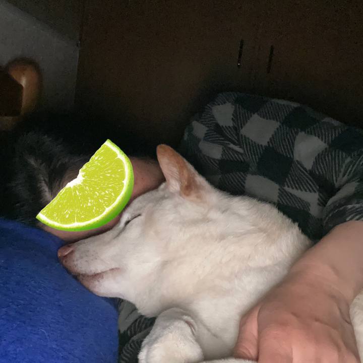 Fede369d 4f50 4531 a6b7 e9a75cb4359a 1634776191388