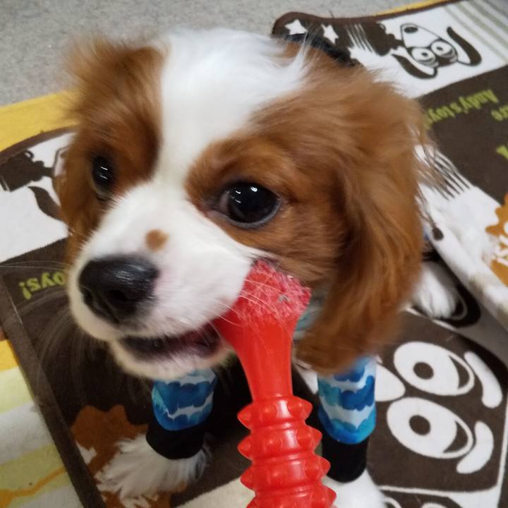 Fede591b a32f 48d7 9ccf c4b881aa5083 1573644599230