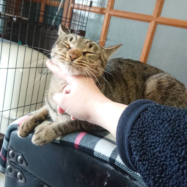 Fede752a 75b9 4d0e 8b74 8bd879449c39 1550280949840