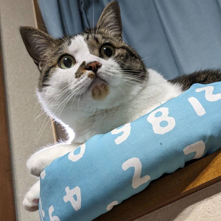 Fede9d8c 736c 48f2 86f8 81fe08ac666d 1718439310792