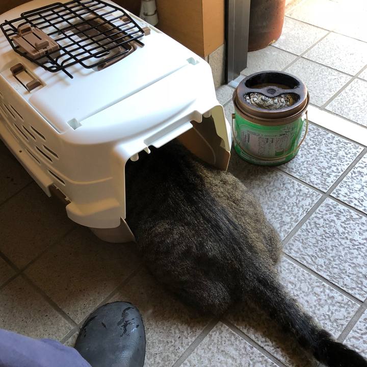 Fedeb906 788c 4ed9 a5a4 4b7020223003 1534922491246