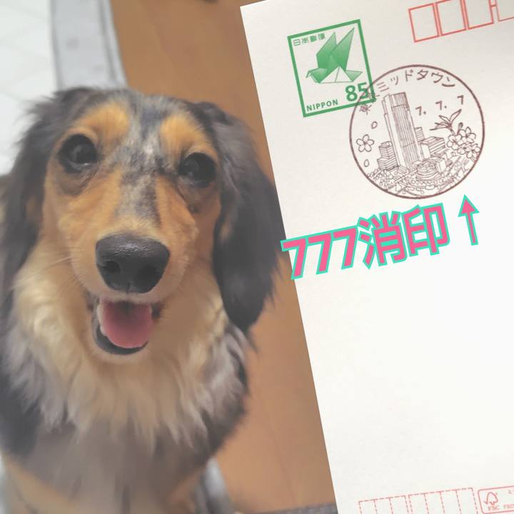 Fedebee4 bf6f 4597 b612 72afb2897785 1751893017021