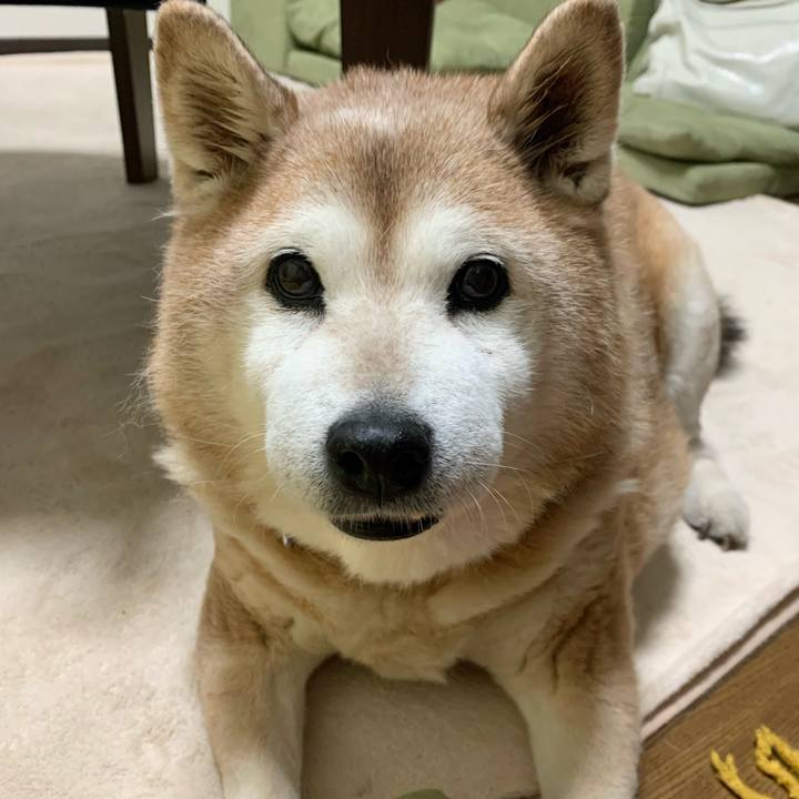 Fedecfd3 218a 47cc 90d1 387e0a36eef6 1616229709475