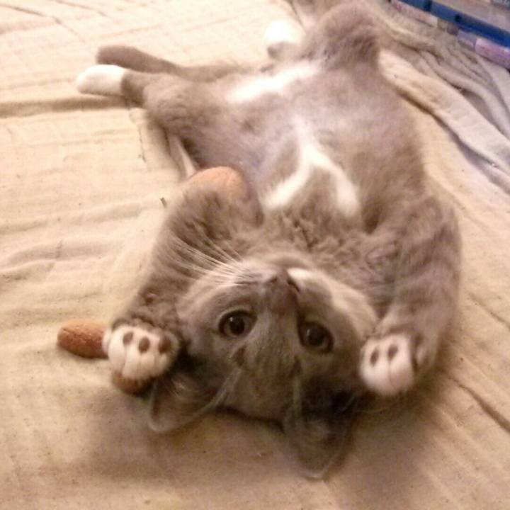 Feded512 5a63 4b2a ad76 cd0ddb9efd32 1532245988578