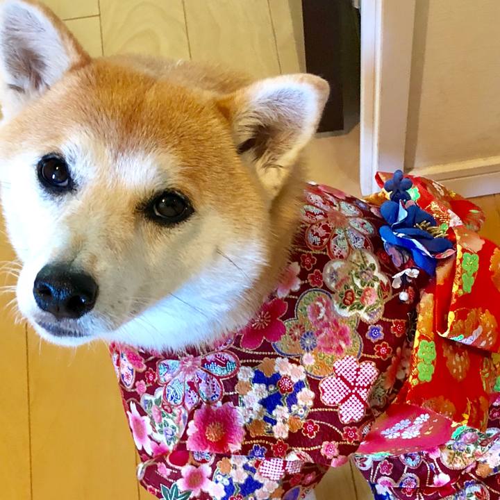 Fedf0ae2 ea4d 4173 9a8f 076c012c2eba 1540623933326