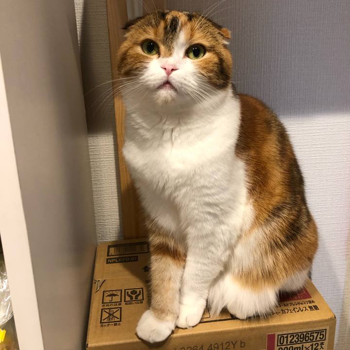 Fedf10ae 2fad 4a8f 8b3d 396cb343a682 1604842537664