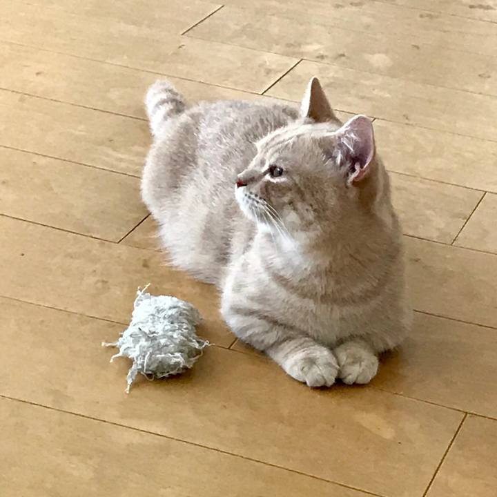 Fedf1103 022a 45bf 857b 4709f25f0946 1530571489526