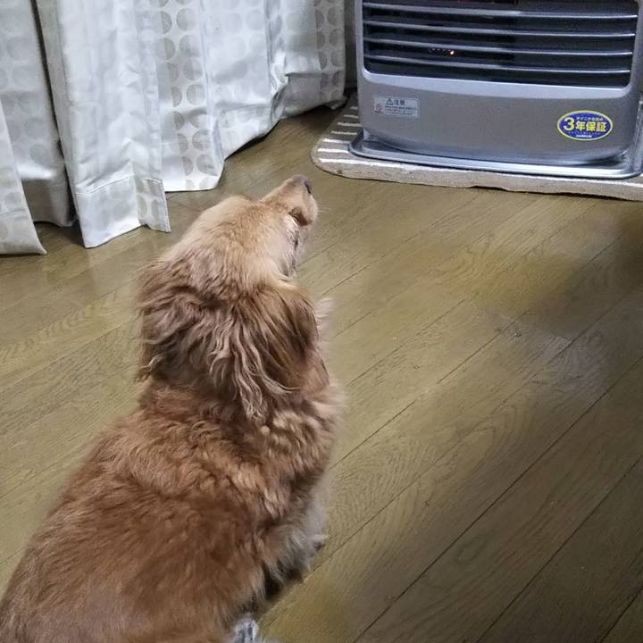 Fedf1874 38fa 4de5 a744 375c6d158241 1573207314522