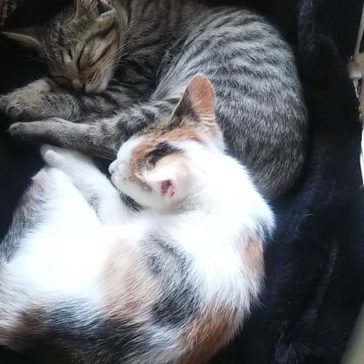 Fedf1912 40b0 4919 91c9 a63aab98373f 1635046117733