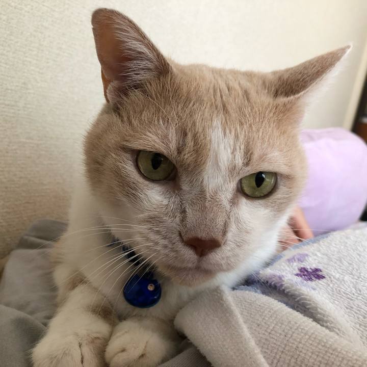 Fedf24a3 85e7 46d6 b134 60a12aa7ebb5 1567301231815